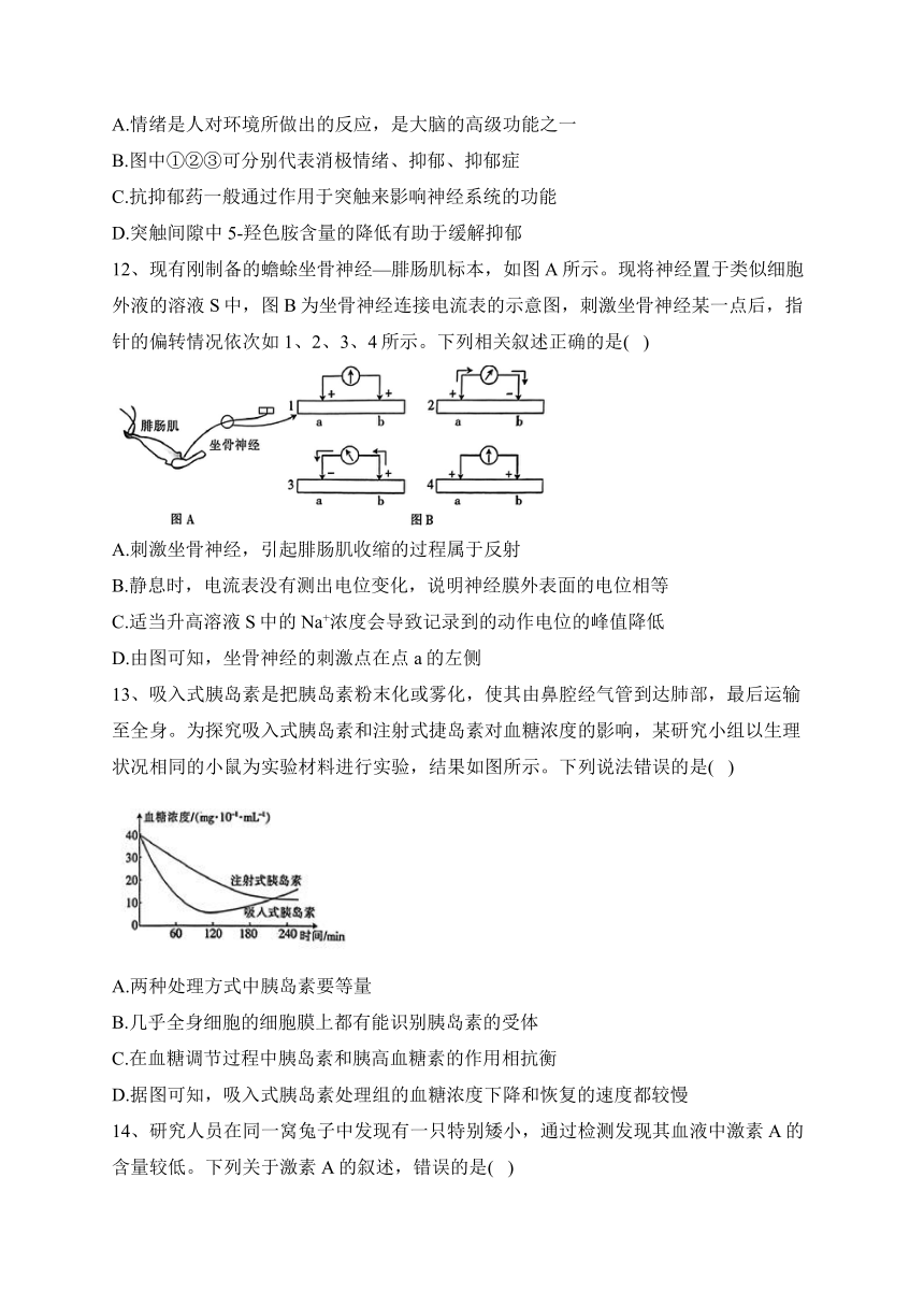 山西省2023-2024学年高二上学期10月联合考试生物试卷(含答案解析)