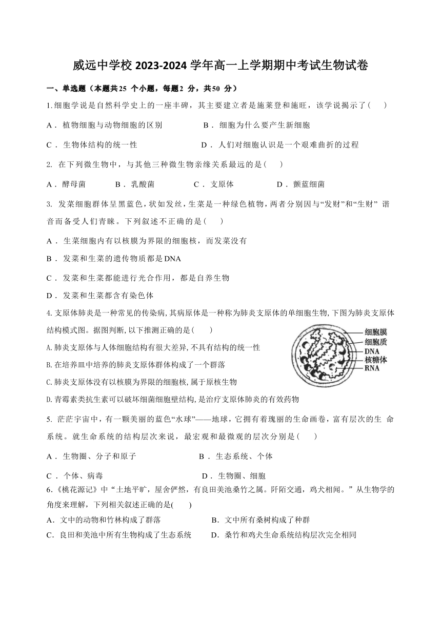 四川省内江市威远中学校2023-2024学年高一上学期期中考试生物学试题（含答案）