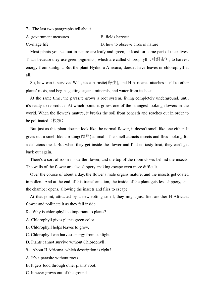 巩义市市直高级中学2022-2023学年高二上学期11月期中考试英语试卷(含解析)