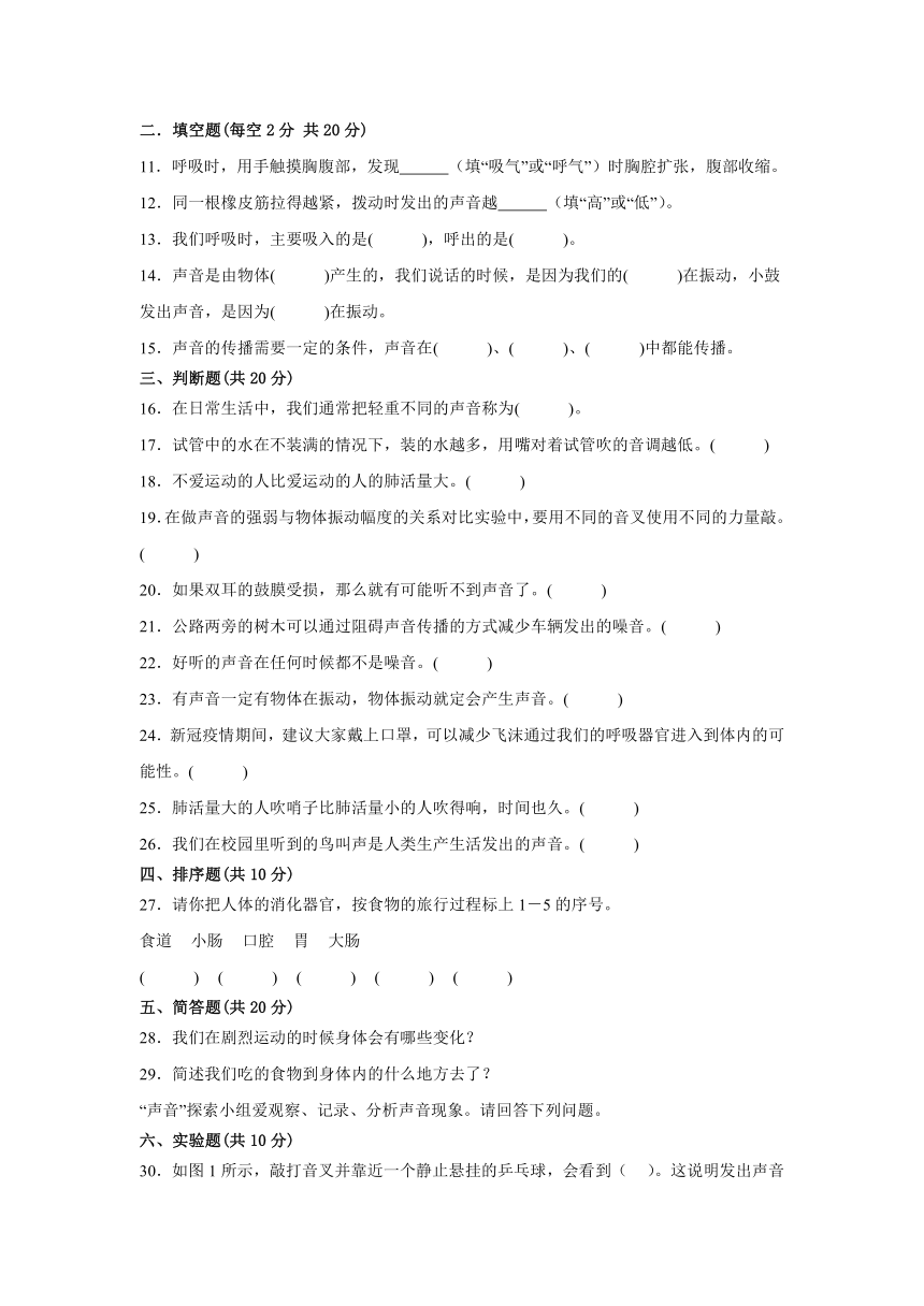 四年级上册科学教科版期中重难点检测卷（含解析）