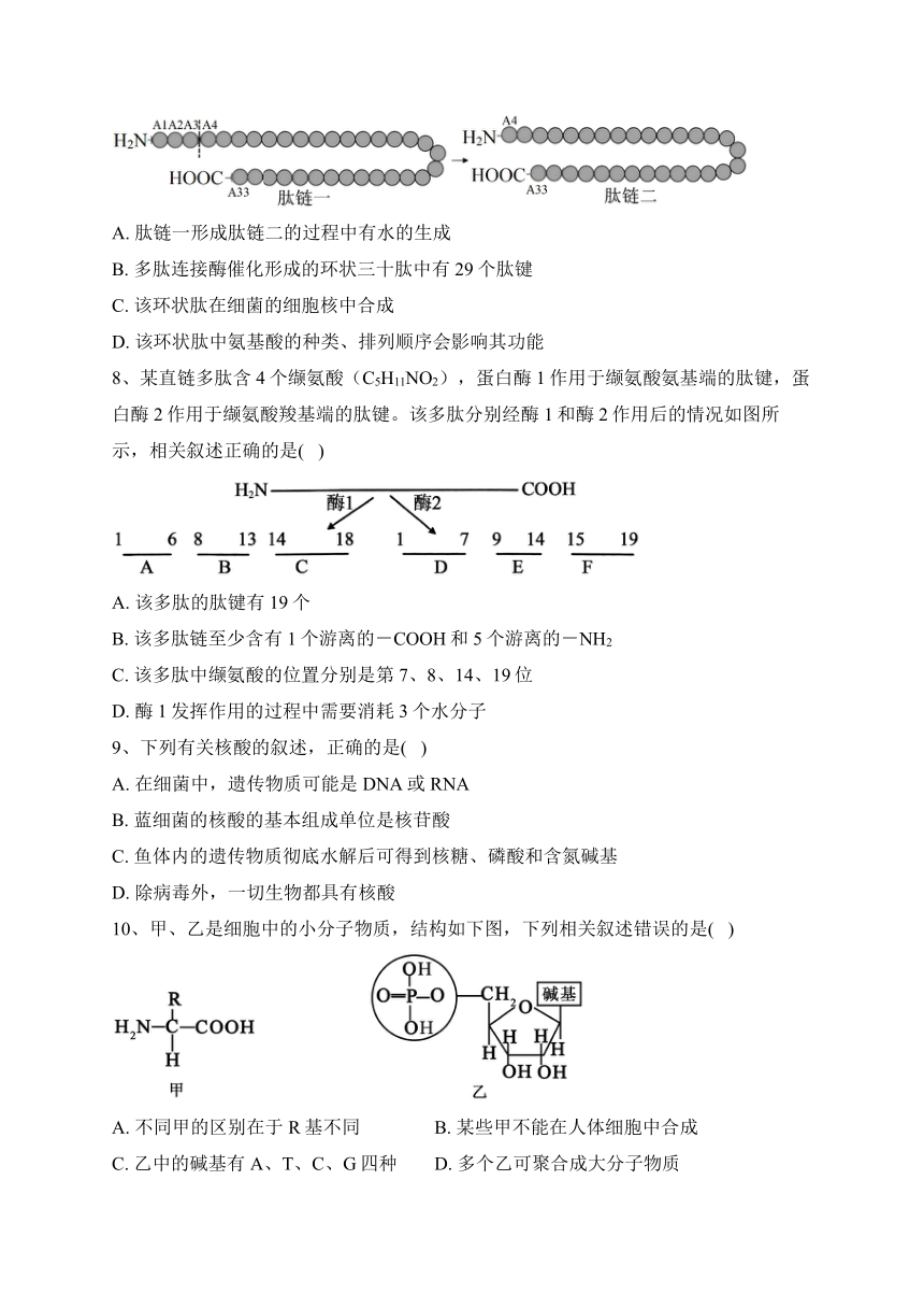 江苏省扬州市高邮市2023-2024学年高一上学期10月学情调研测试生物试卷(含解析)