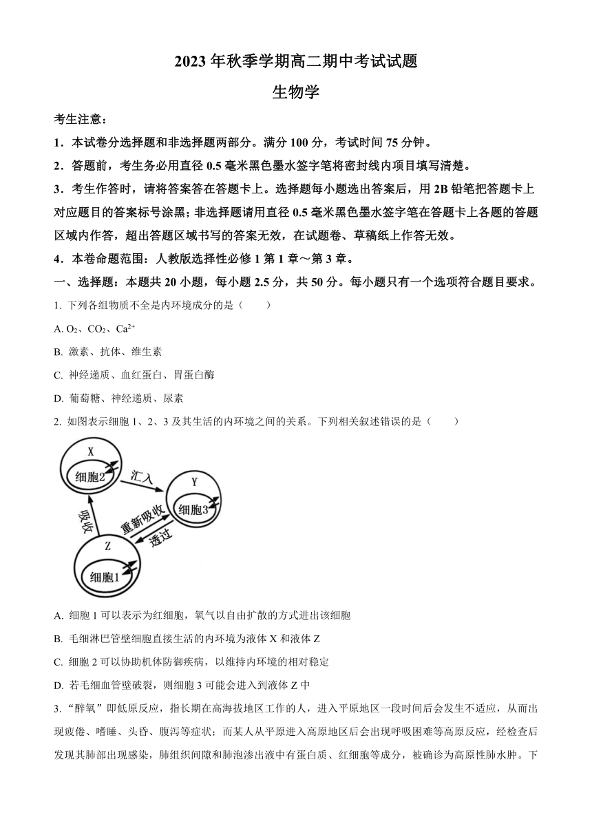 陕西省榆林市“府、靖、绥、横、定“五校联考2023-2024学年高二上学期期中考试+生物（解析版）