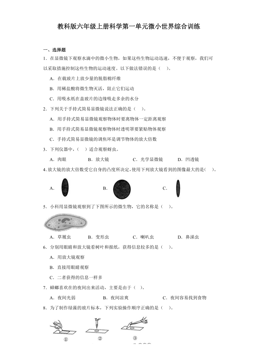 教科版六年级上册科学第一单元微小世界综合训练（含答案 ）