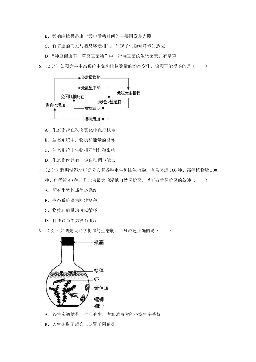 云南省玉溪市红塔区后所中学2023-2024学年七年级上学期月考生物试卷（10月份）（含解析）