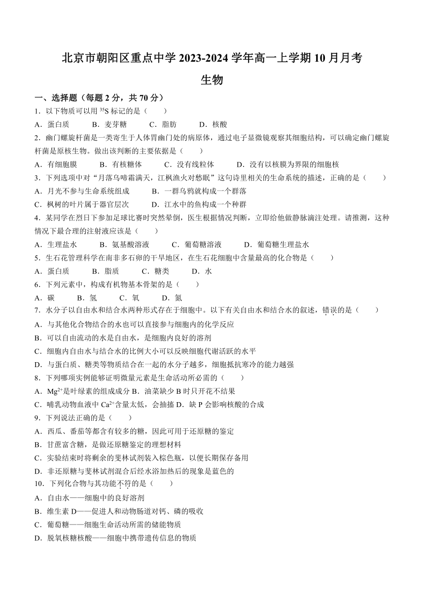 北京市朝阳区重点中学2023-2024学年高一上学期10月月考生物学试题（含答案）