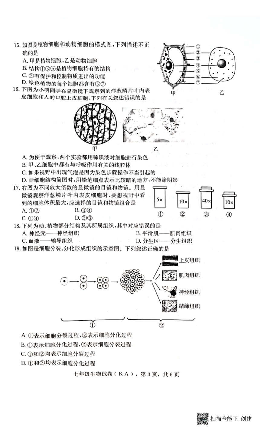 河北省石家庄市赵县2023-2024学年度第一学期期中学业质量检测七年级生物试卷（扫描版，含答案）