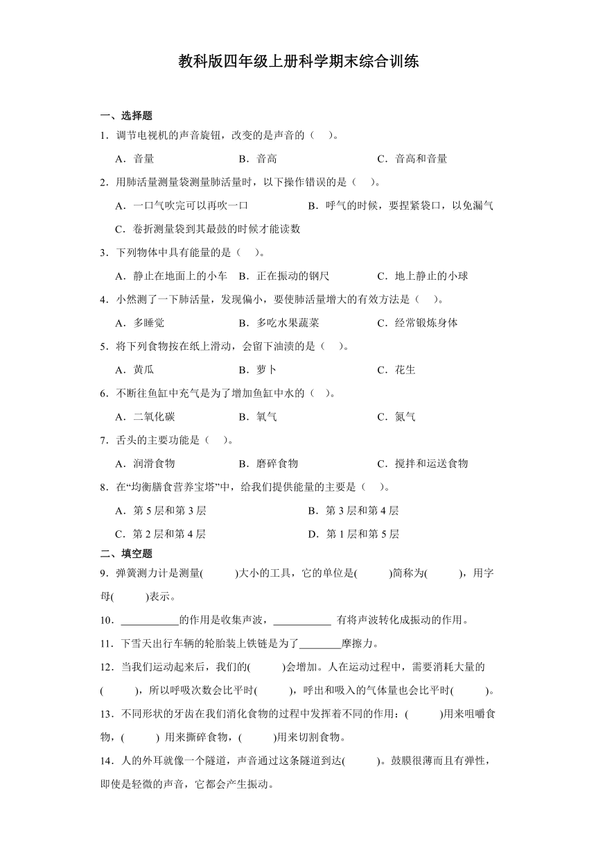 教科版四年级上册科学期末综合训练（含答案 ）