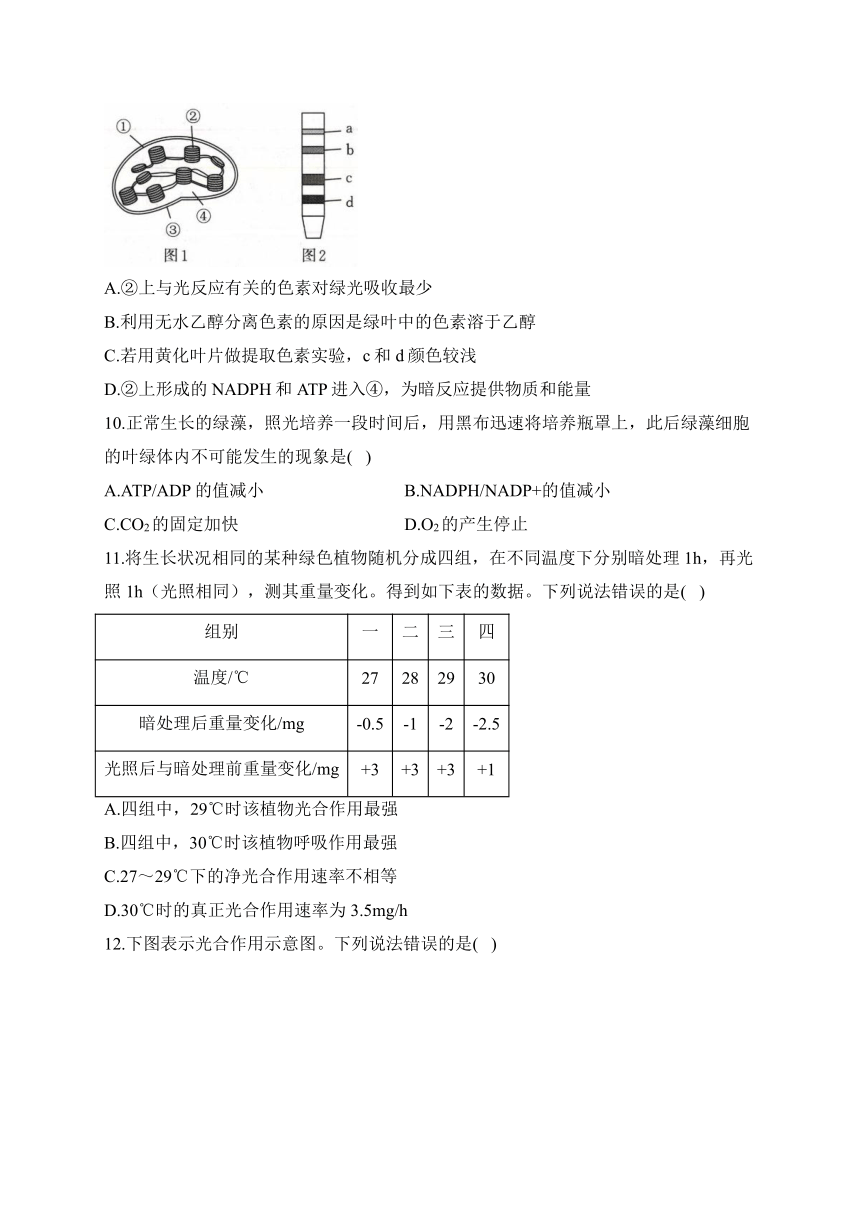 第5章 细胞的能量供应和利用 训练卷——2023-2024学年高一生物学人教版（2019）必修一（含解析）