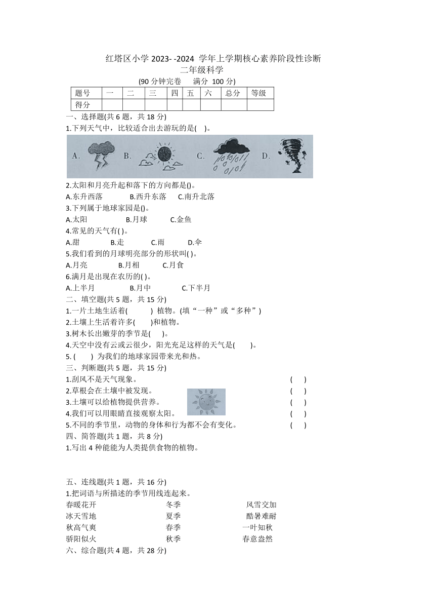 云南省玉溪市红塔区乡镇联考2023-2024学年二年级上学期11月期中科学试题（无答案 ）