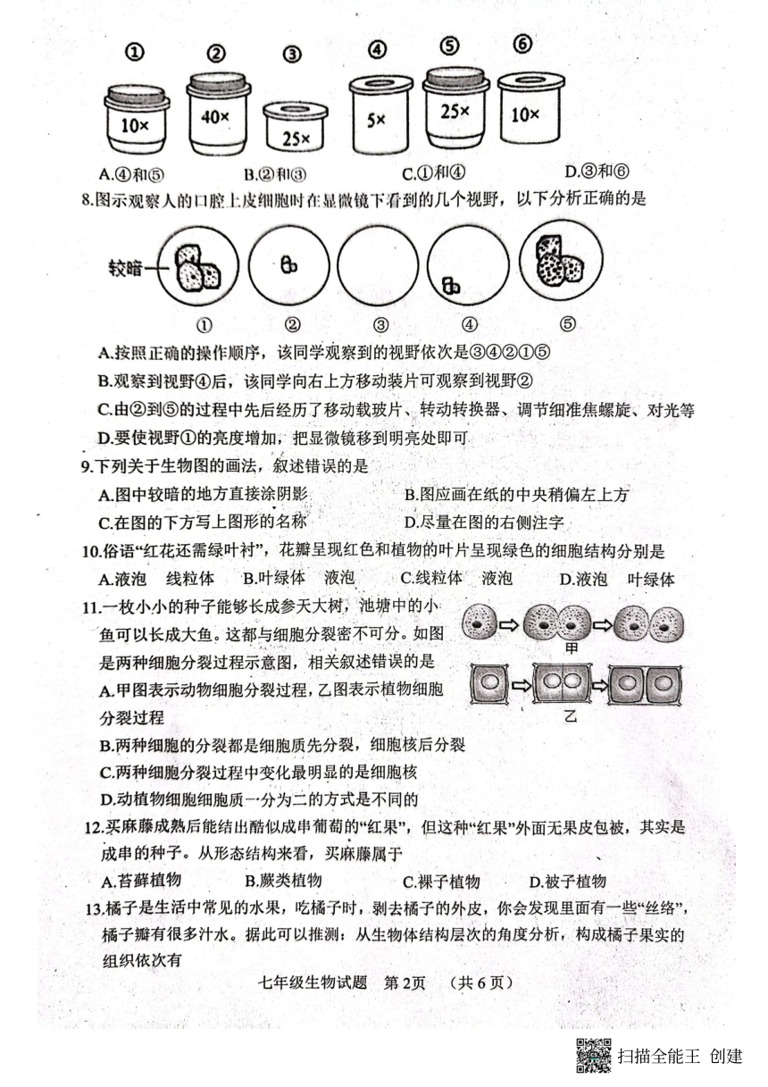 山东省菏泽市东明县2023-2024年度秋季学期期中质量检测七年级生物学试题（PDF版无答案）