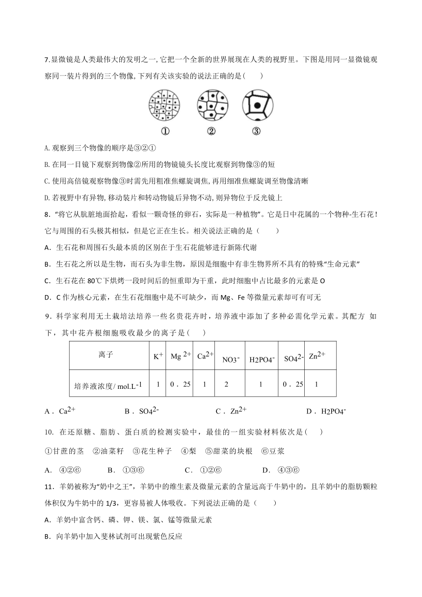 四川省内江市威远中学校2023-2024学年高一上学期期中考试生物学试题（含答案）