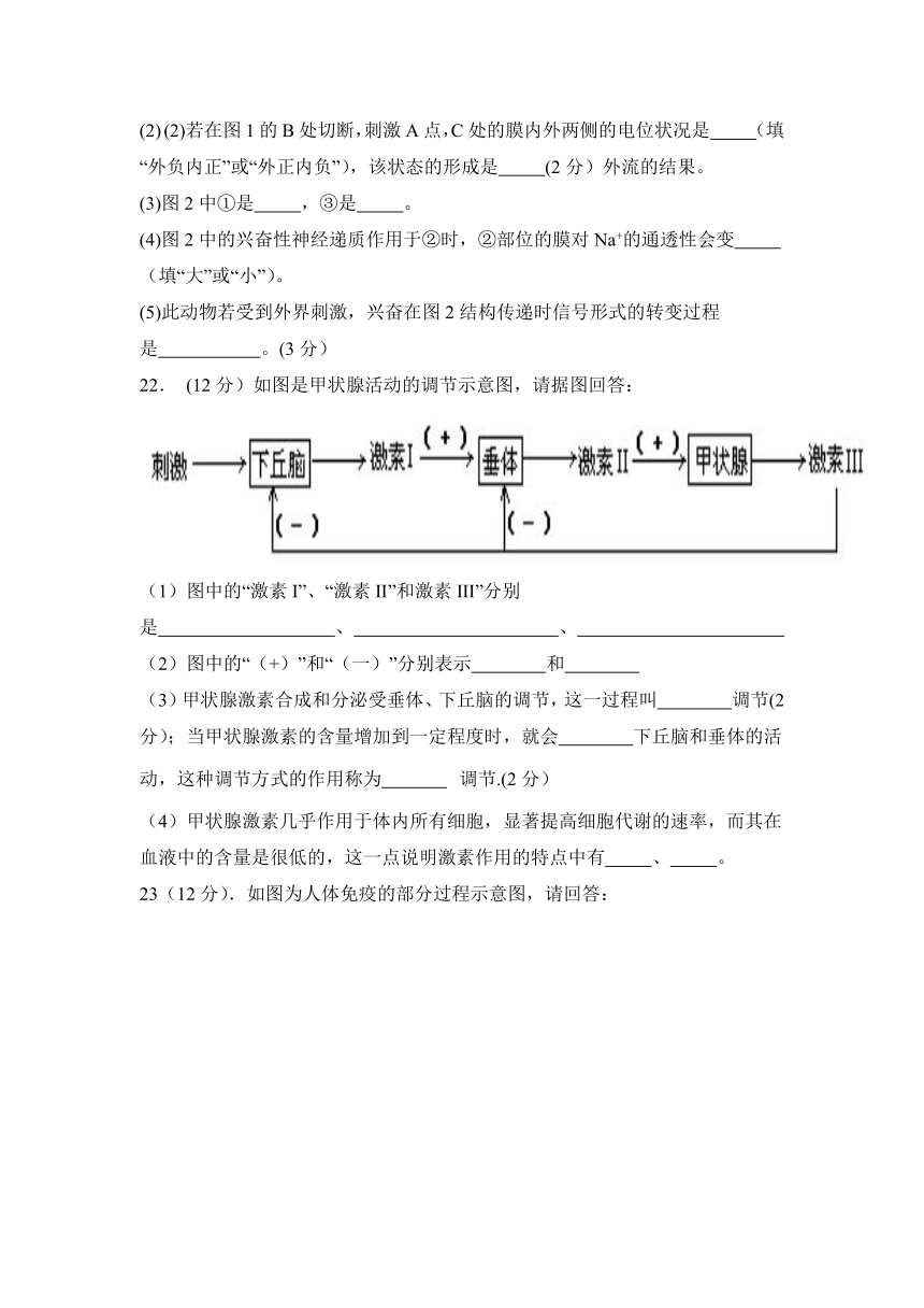 黑龙江省佳木斯市四校2023-2024学年高二上学期11月期中联考生物学试题（含解析）