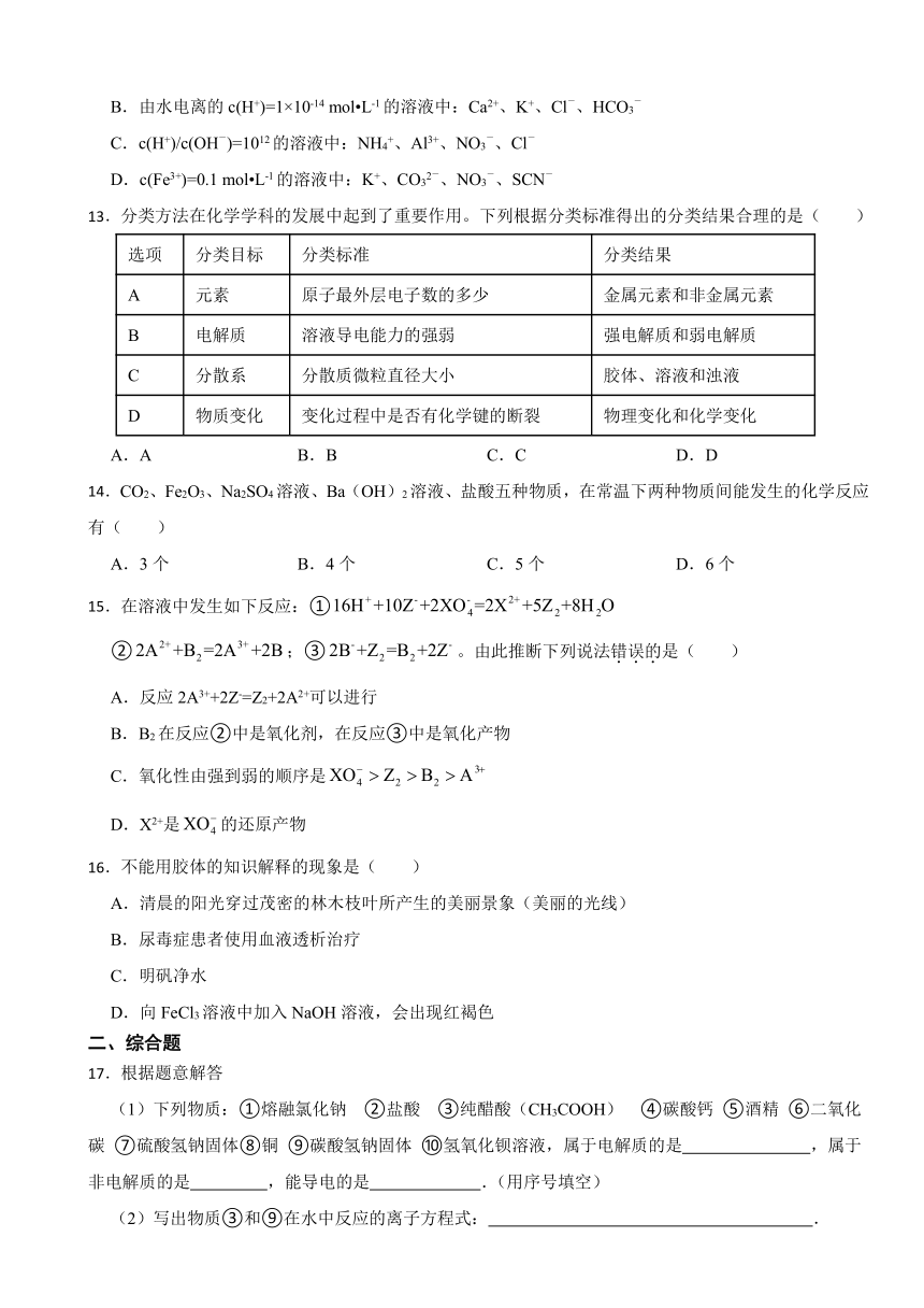 第一章 物质及其变化 （含解析）学情检测卷 2023-2024学年高一上学期人教版（2019） 必修第一册