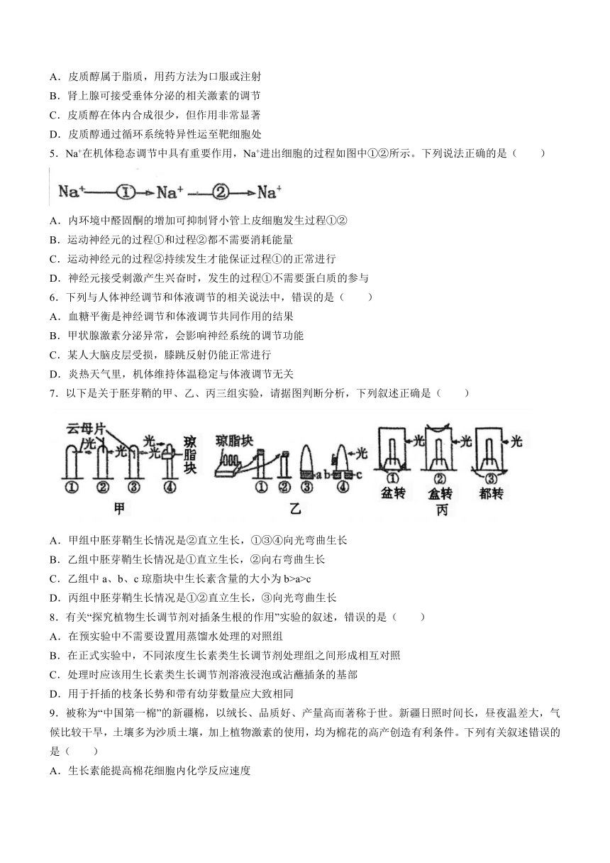 天津市第四十七中学2023-2024学年高二上学期期中考试生物学试题（含答案）