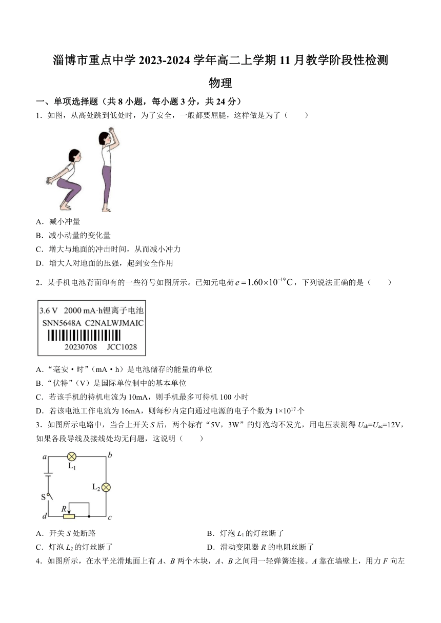 山东省淄博市重点中学2023-2024学年高二上学期11月教学阶段性检测物理试卷（含答案）