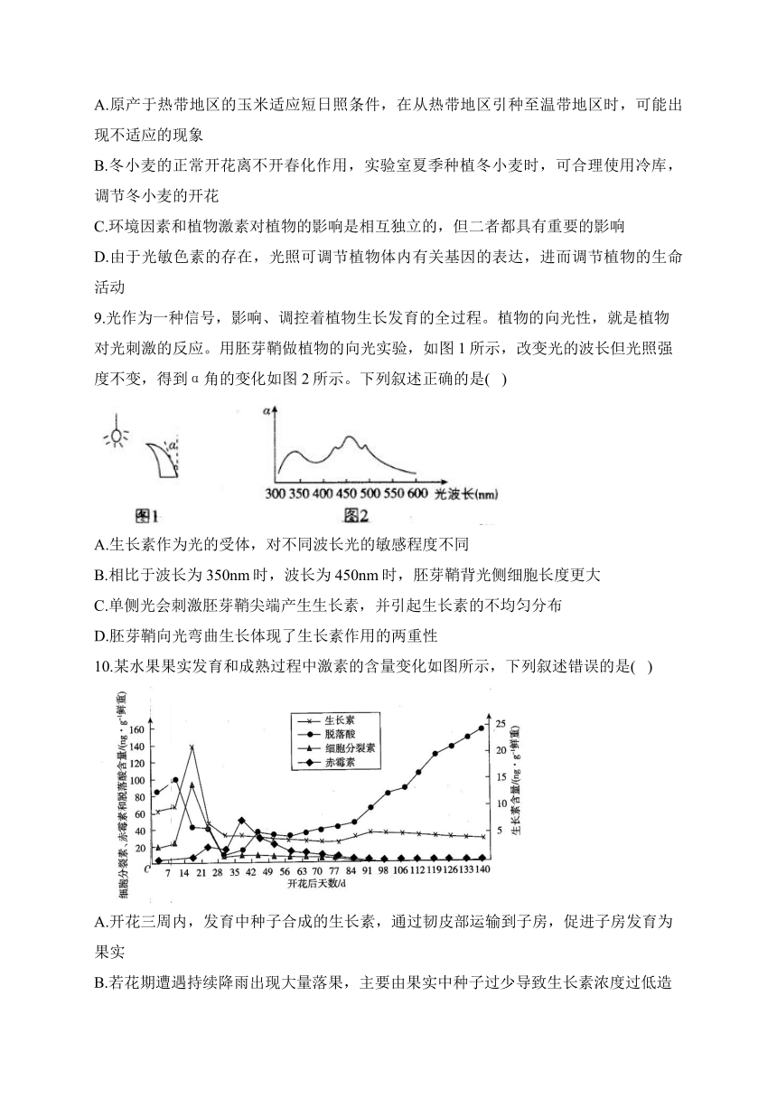 第5章 植物生命活动的调节 训练卷——2023-2024学年高二生物学人教版（2019）选择性必修一（含解析）