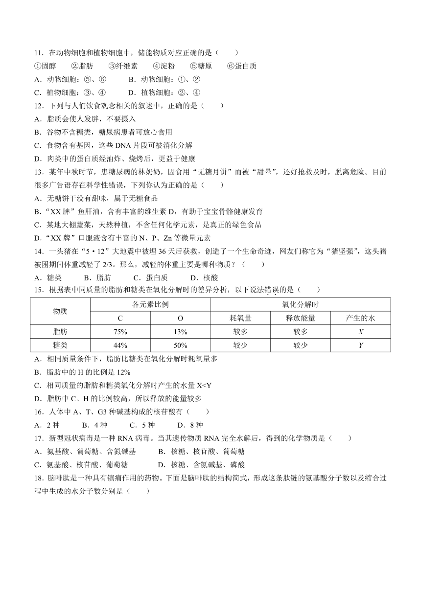 北京市朝阳区重点中学2023-2024学年高一上学期10月月考生物学试题（含答案）