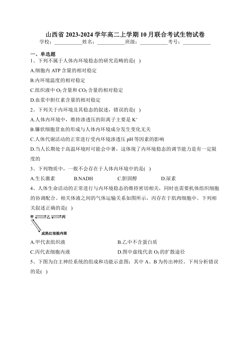 山西省2023-2024学年高二上学期10月联合考试生物试卷(含答案解析)