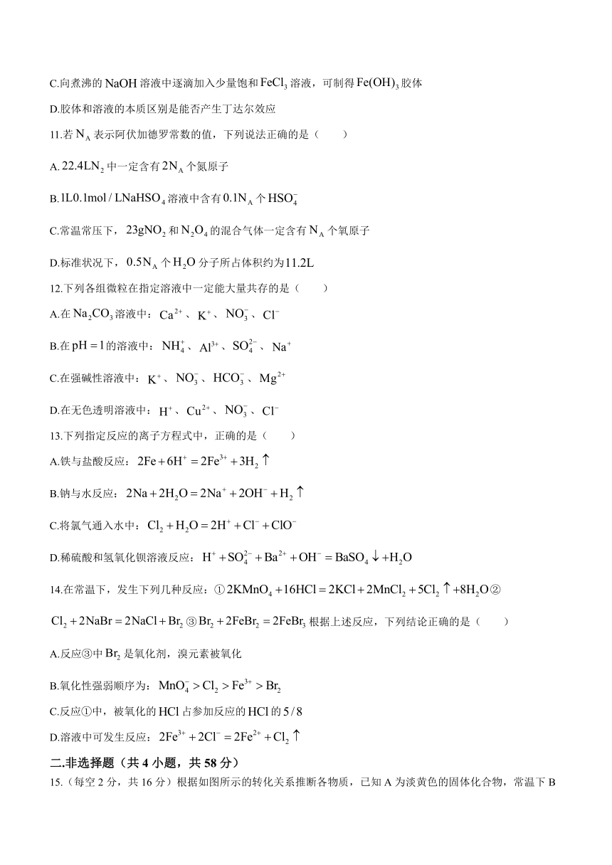 陕西省渭南市2023-2024学年高一上学期11月期中考试化学试题（含答案）