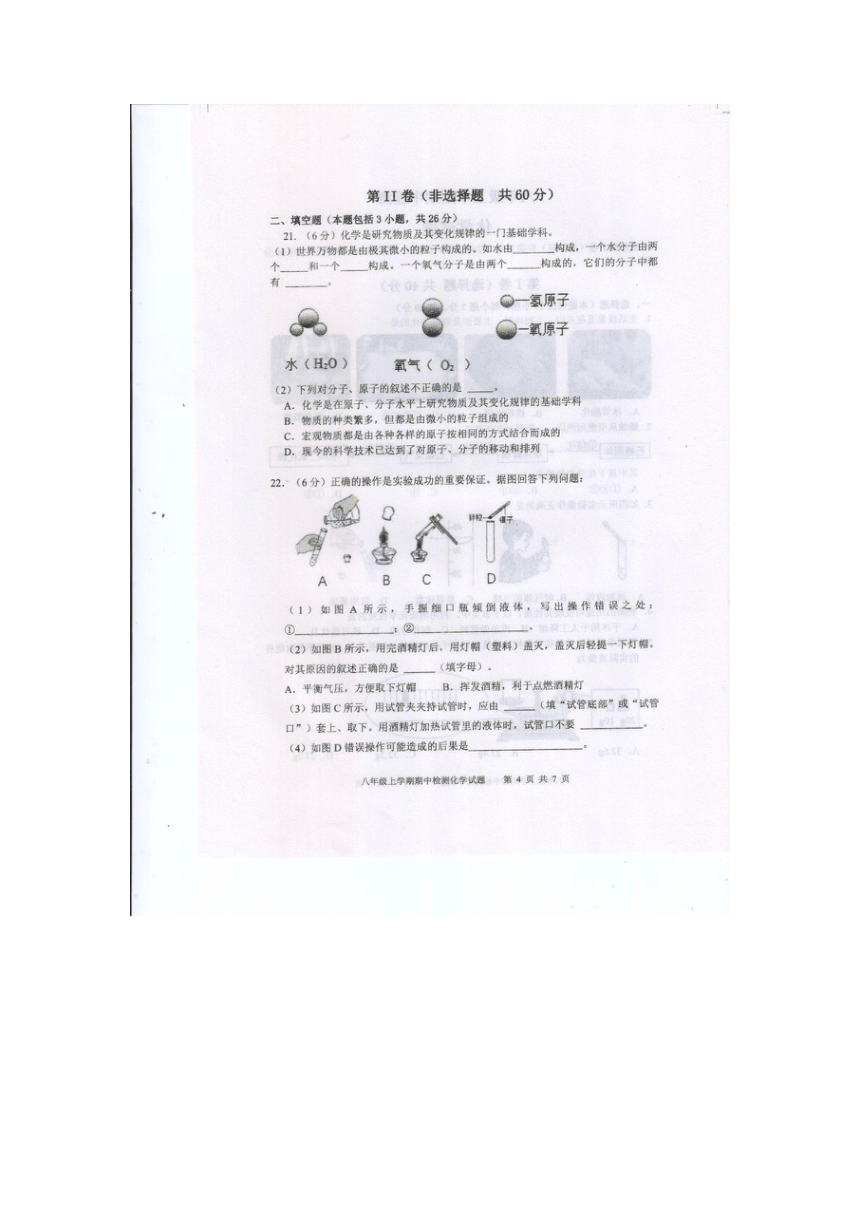 山东省泰安市新泰市2023-2024学年八年级上学期11月期中化学试题(图片版 含答案)