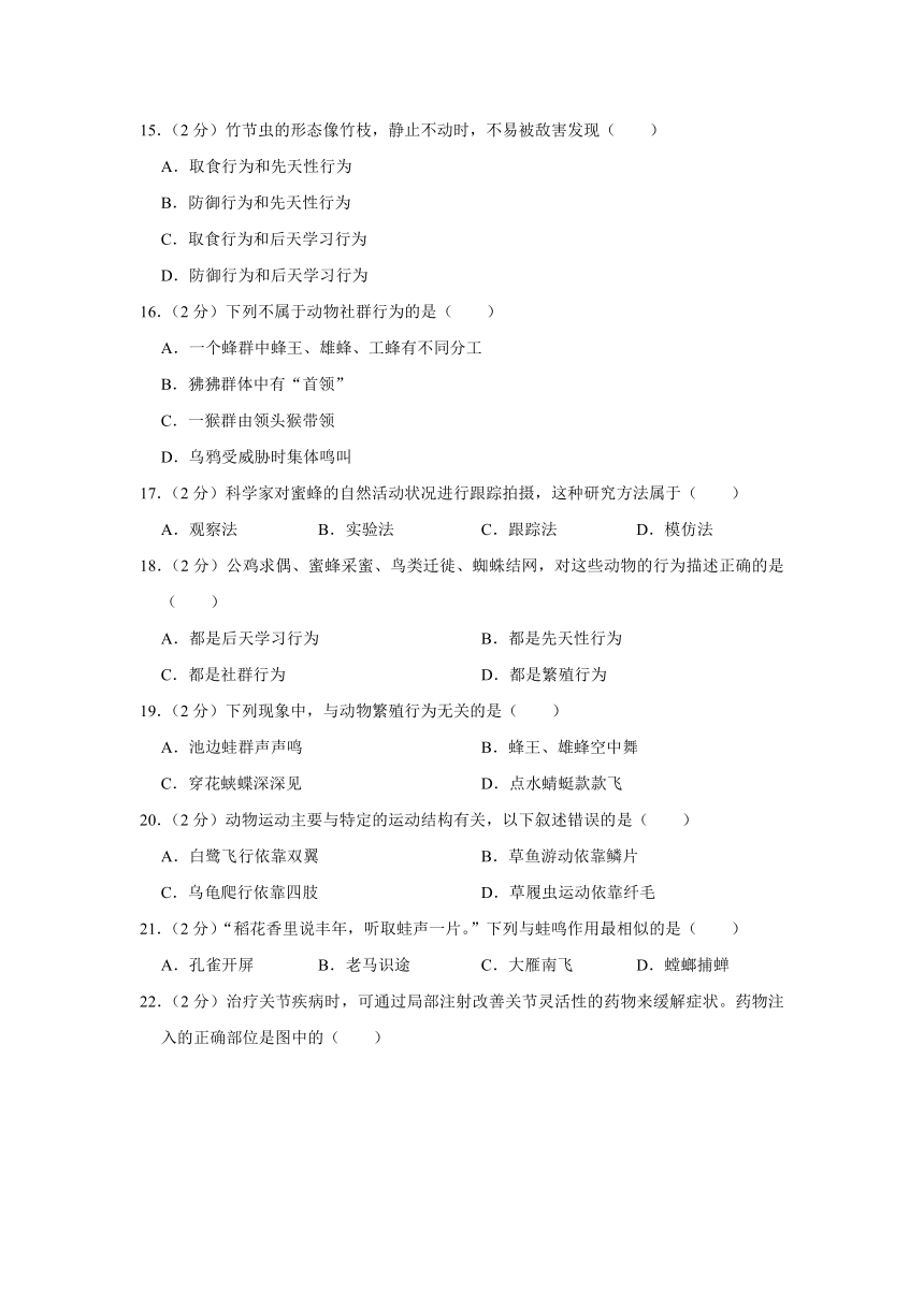 广东省惠州市惠阳一中实验学校2023-2024学年八年级上学期10月份月考生物试卷（含解析）