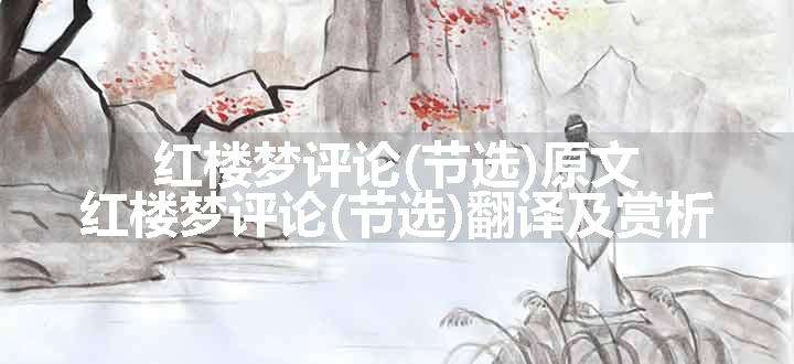 红楼梦评论(节选)