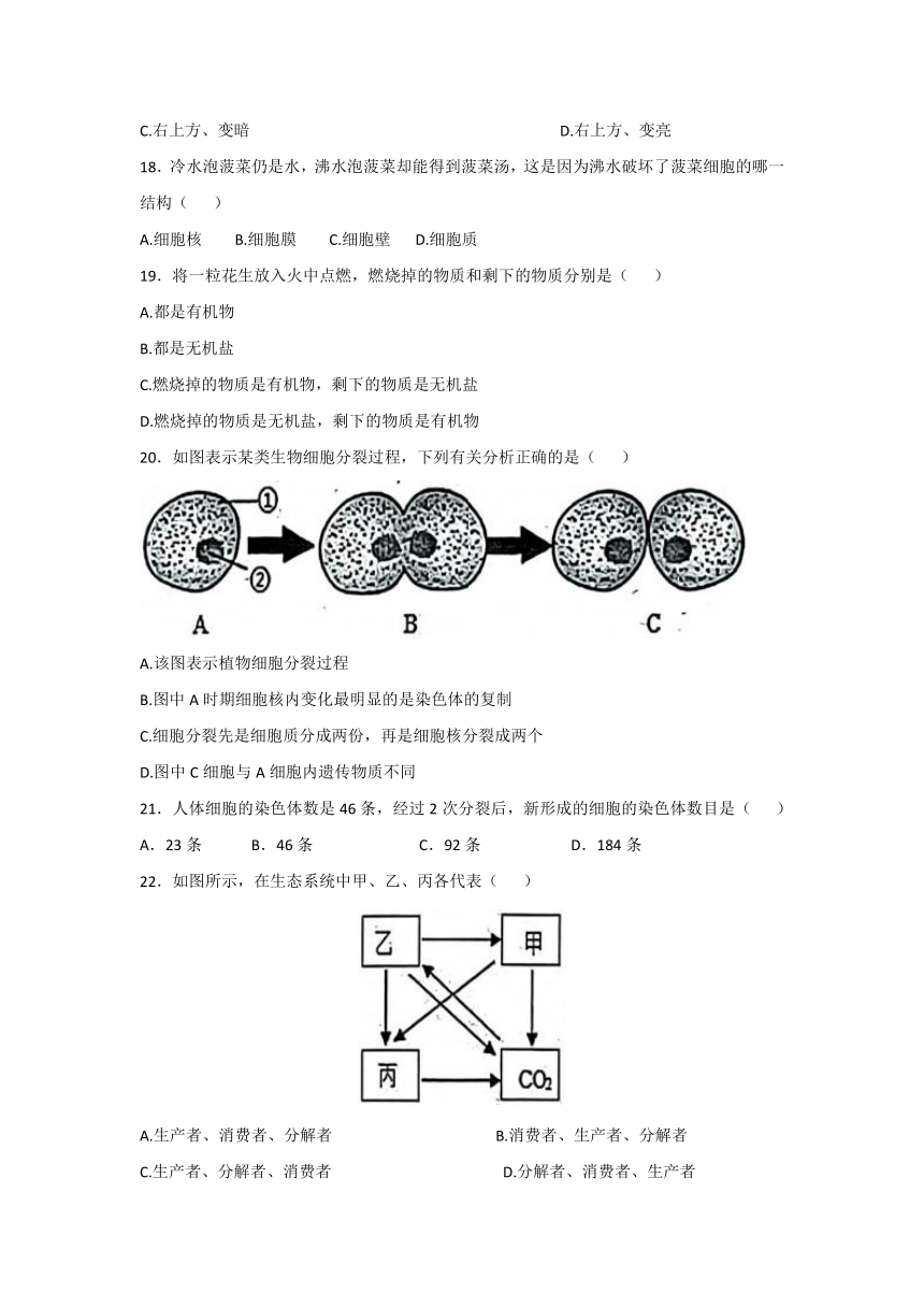 2023-2024学年辽宁省盘锦市第一完全中学七年级（上）期中考试生物试卷（含答案）