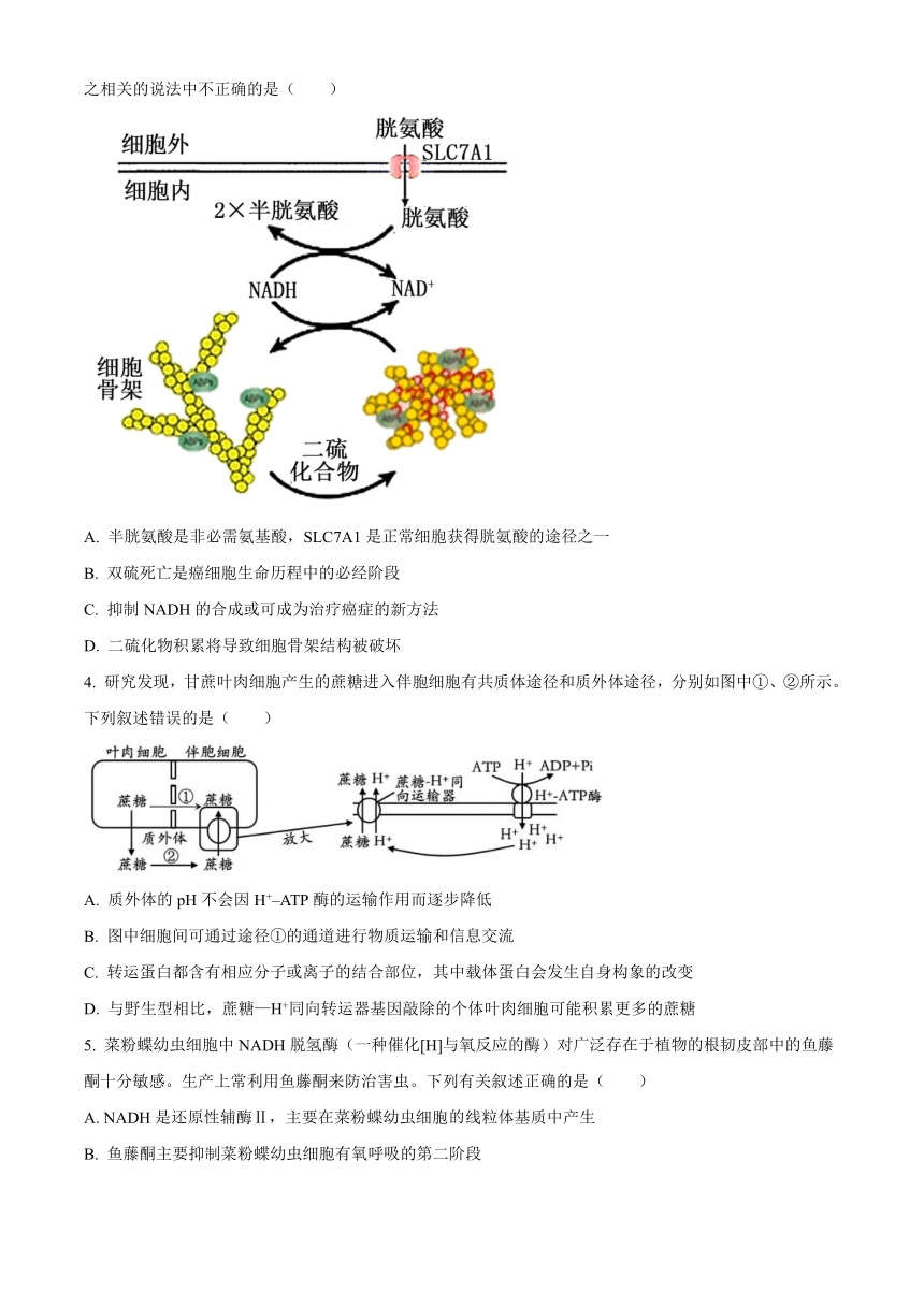 山东省枣庄市滕州市2023-2024学年高三上学期期中考试生物试卷（解析版）