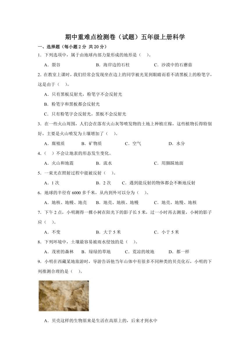 五年级上册科学教科版期中重难点检测卷（含答案）