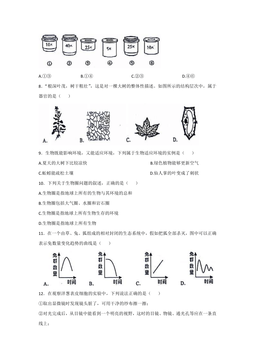 2023-2024学年辽宁省盘锦市第一完全中学七年级（上）期中考试生物试卷（含答案）