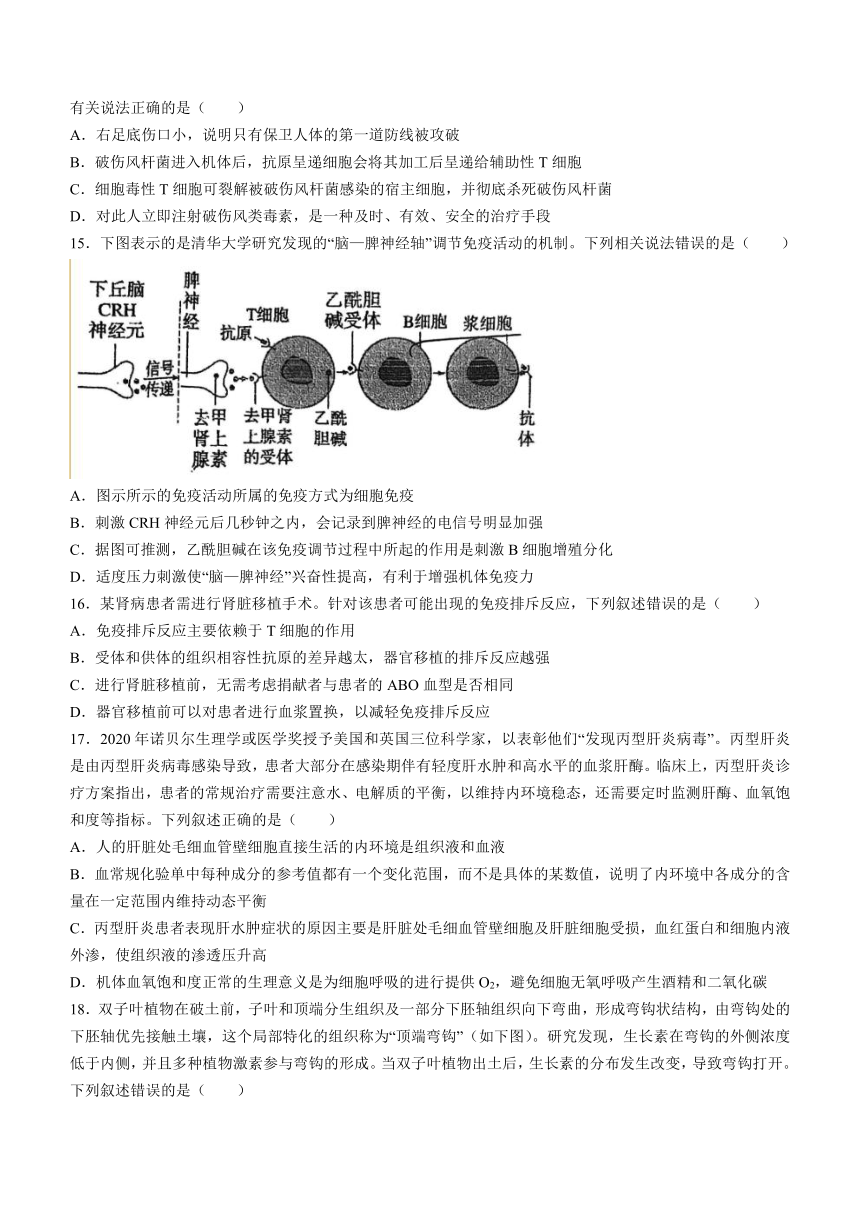 天津市第四十七中学2023-2024学年高二上学期期中考试生物学试题（含答案）