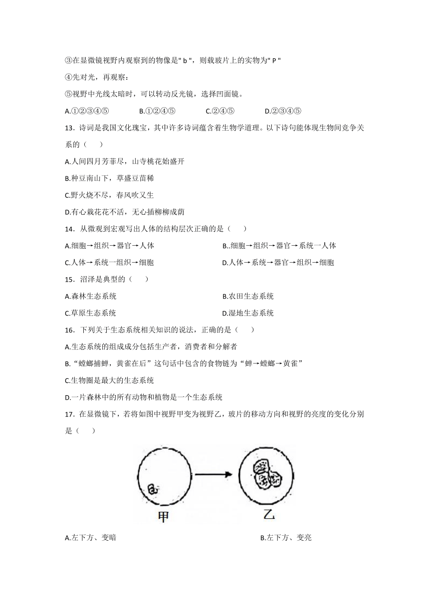 2023-2024学年辽宁省盘锦市第一完全中学七年级（上）期中考试生物试卷（含答案）