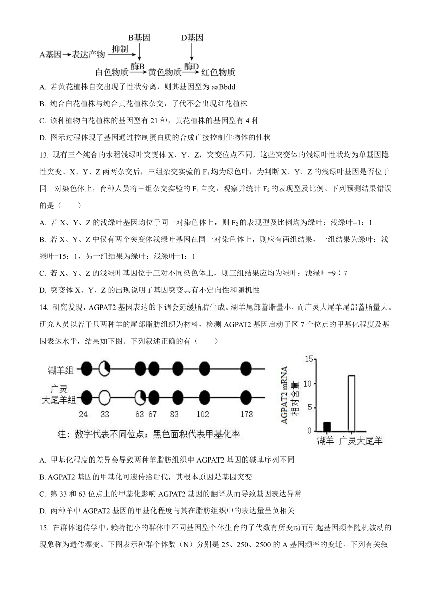 山东省枣庄市滕州市2023-2024学年高三上学期期中考试生物试卷（解析版）