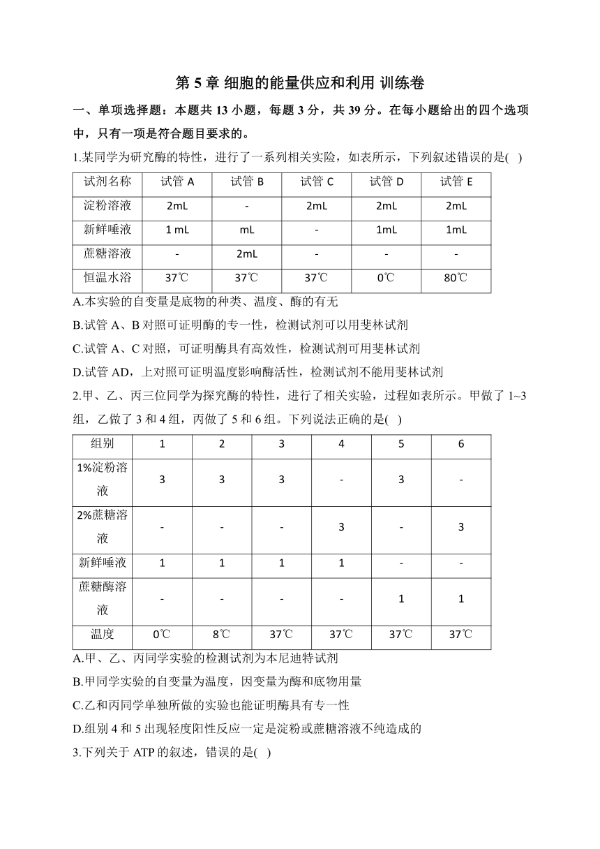 第5章 细胞的能量供应和利用 训练卷——2023-2024学年高一生物学人教版（2019）必修一（含解析）