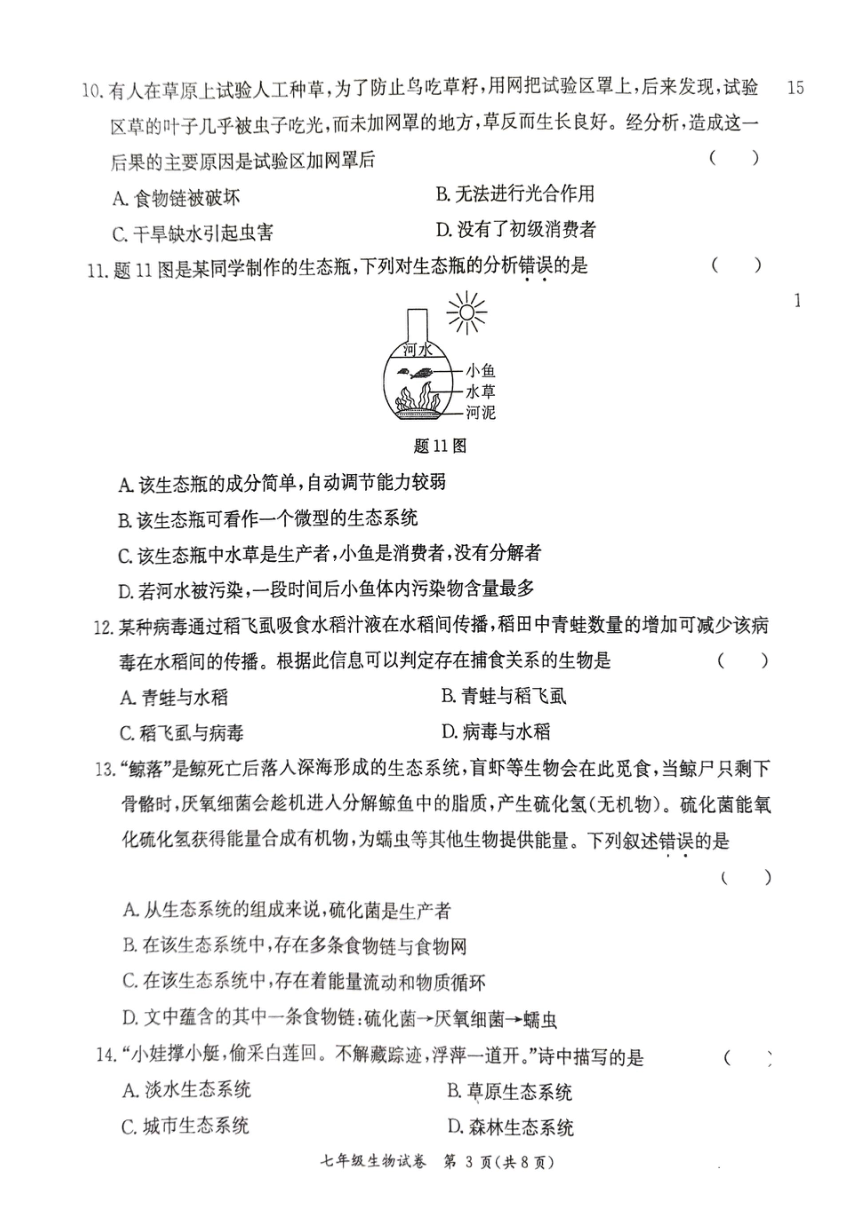 广东省阳江市江城区2023-2024学年度第一学期七年级生物期中质量检测试卷（PDF版，无答案）