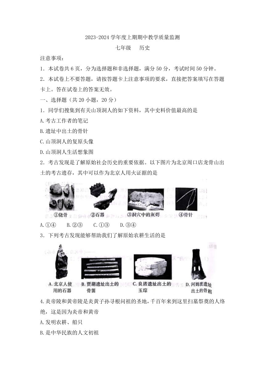 河南省信阳市2023-2024学年七年级上学期期中历史试题（无答案）