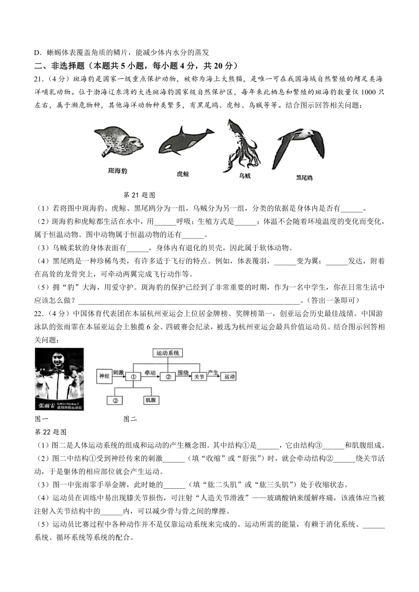 辽宁省大连市甘井子区2023-2024学年八年级上学期期中生物试题(含答案)