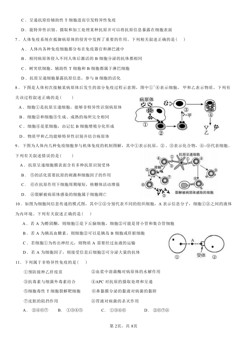 吉林省通化辉南县第六中学2023-2024学年高二上学期第二次半月考生物试卷（含解析）