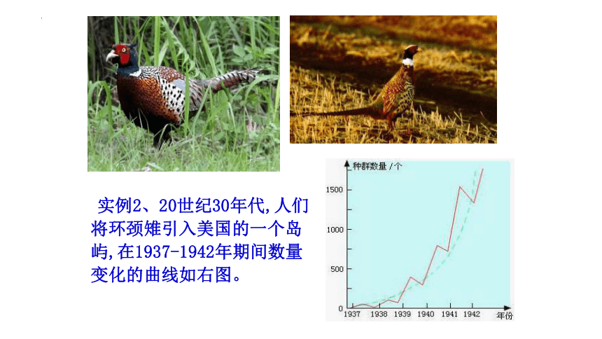 生物人教版（2019）选择性必修2 1.2种群数量的变化（共31张ppt）