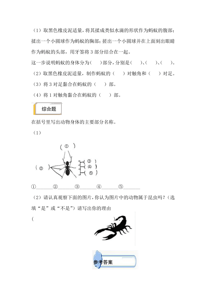 2023-2024学年（青岛版）四年级科学上册 第一单元 动物王国-期中专项复习