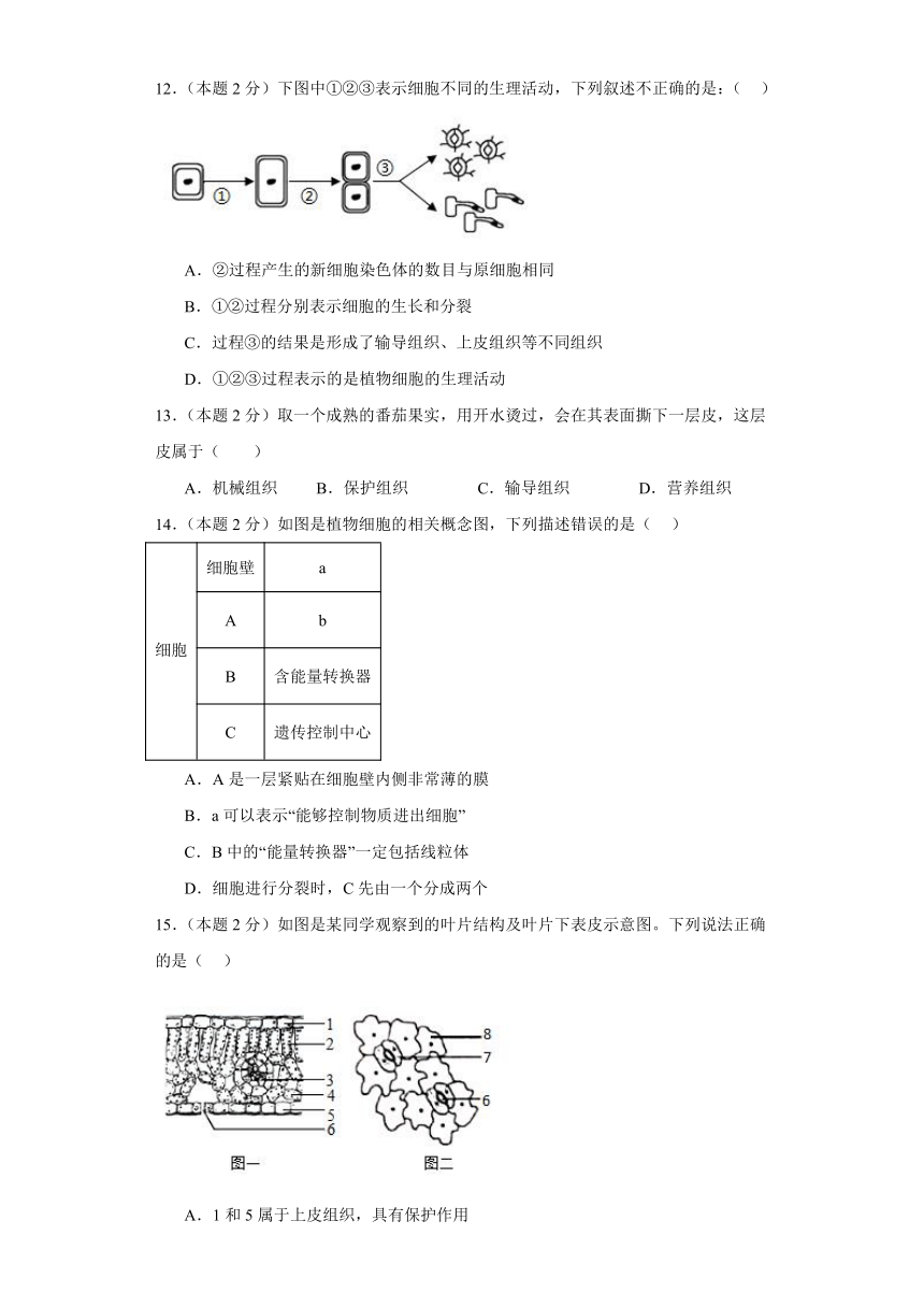 四川省成都市新都区2023-2024学年七年级上学期期末预测生物试题（含答案）