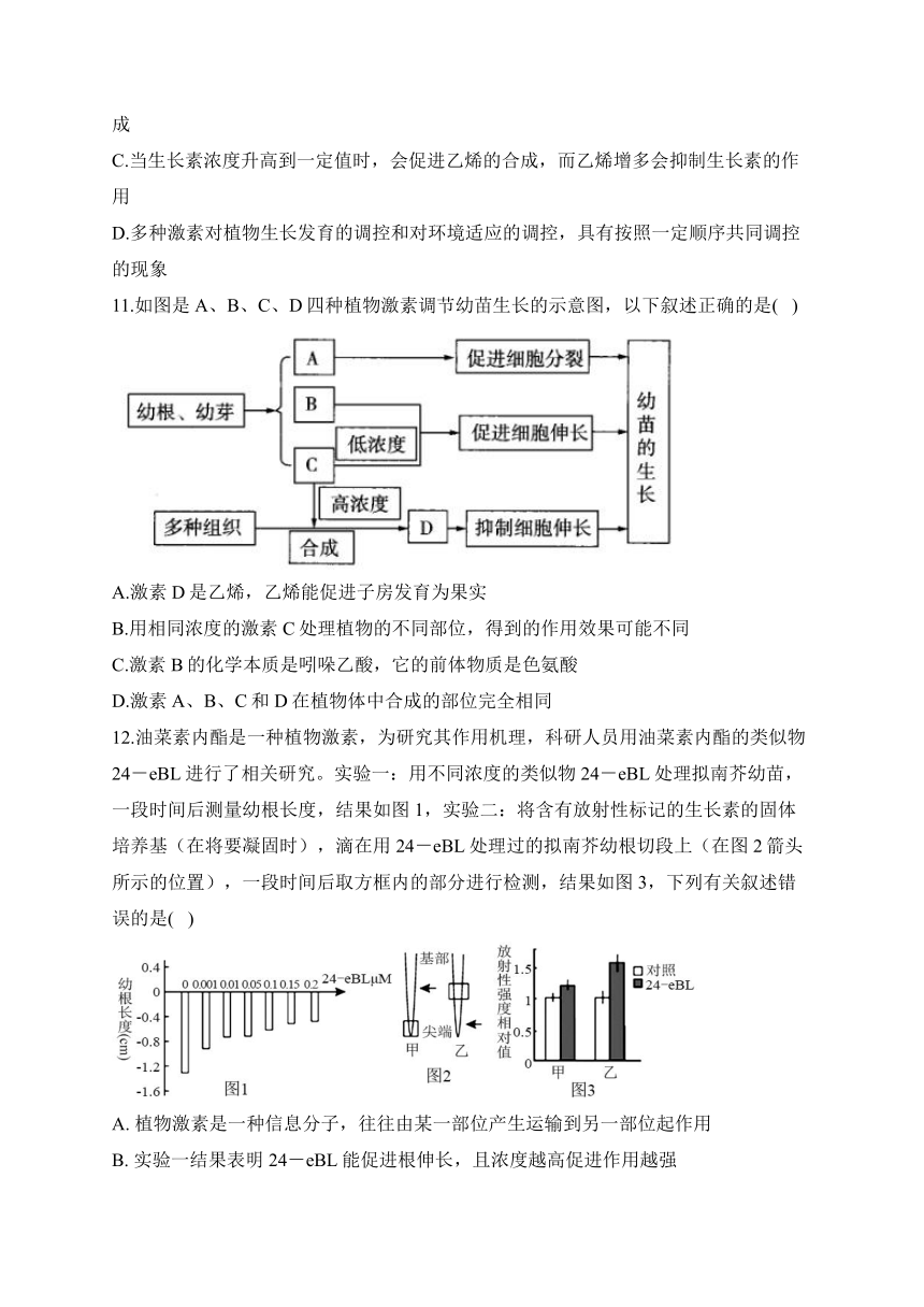 第5章 植物生命活动的调节 训练卷——2023-2024学年高二生物学人教版（2019）选择性必修一（含解析）