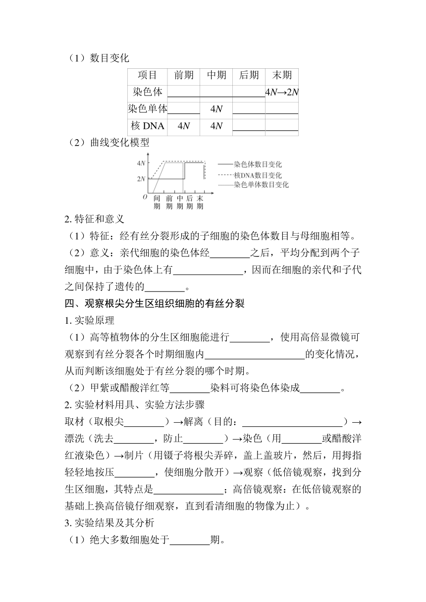 第13课时　细胞增殖 复习学案（含答案）2024年江苏省普通高中学业水平合格性生物考试