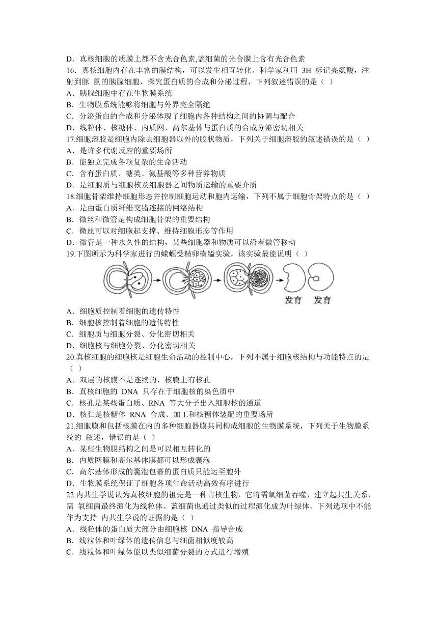 浙江省嘉兴市八校2023-2024学年高一上学期期中联考生物学试题（含答案）