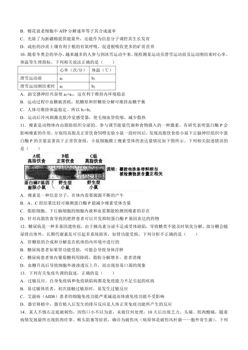 天津市第四十七中学2023-2024学年高二上学期期中考试生物学试题（含答案）