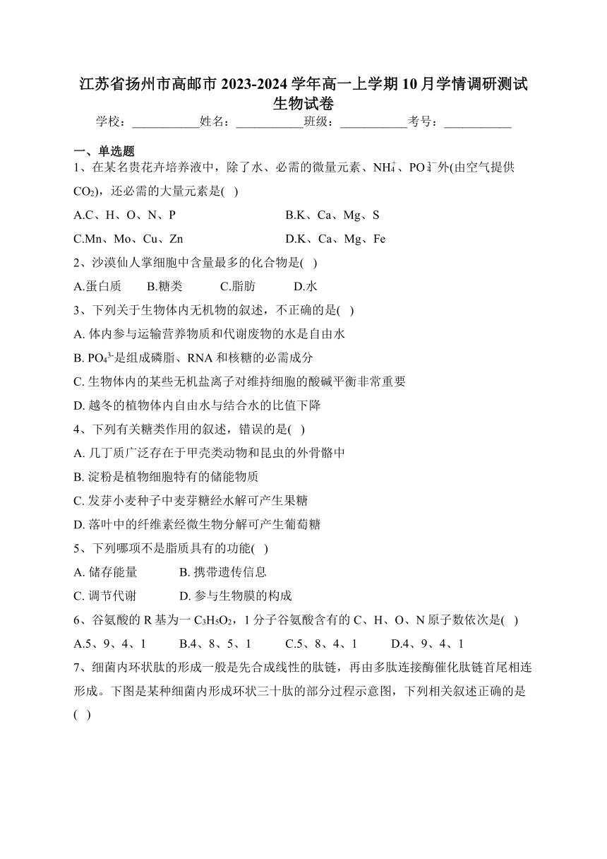 江苏省扬州市高邮市2023-2024学年高一上学期10月学情调研测试生物试卷(含解析)