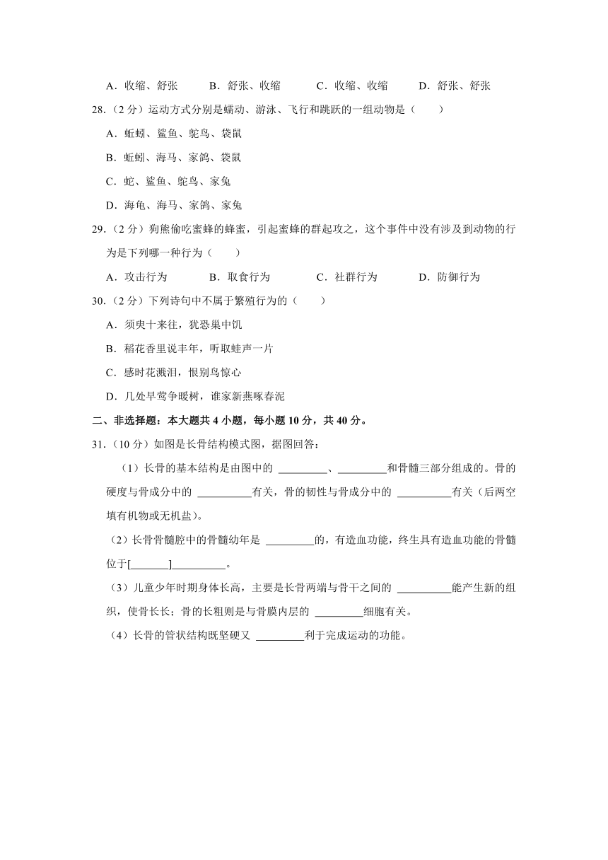 广东省惠州市惠阳一中实验学校2023-2024学年八年级上学期10月份月考生物试卷（含解析）