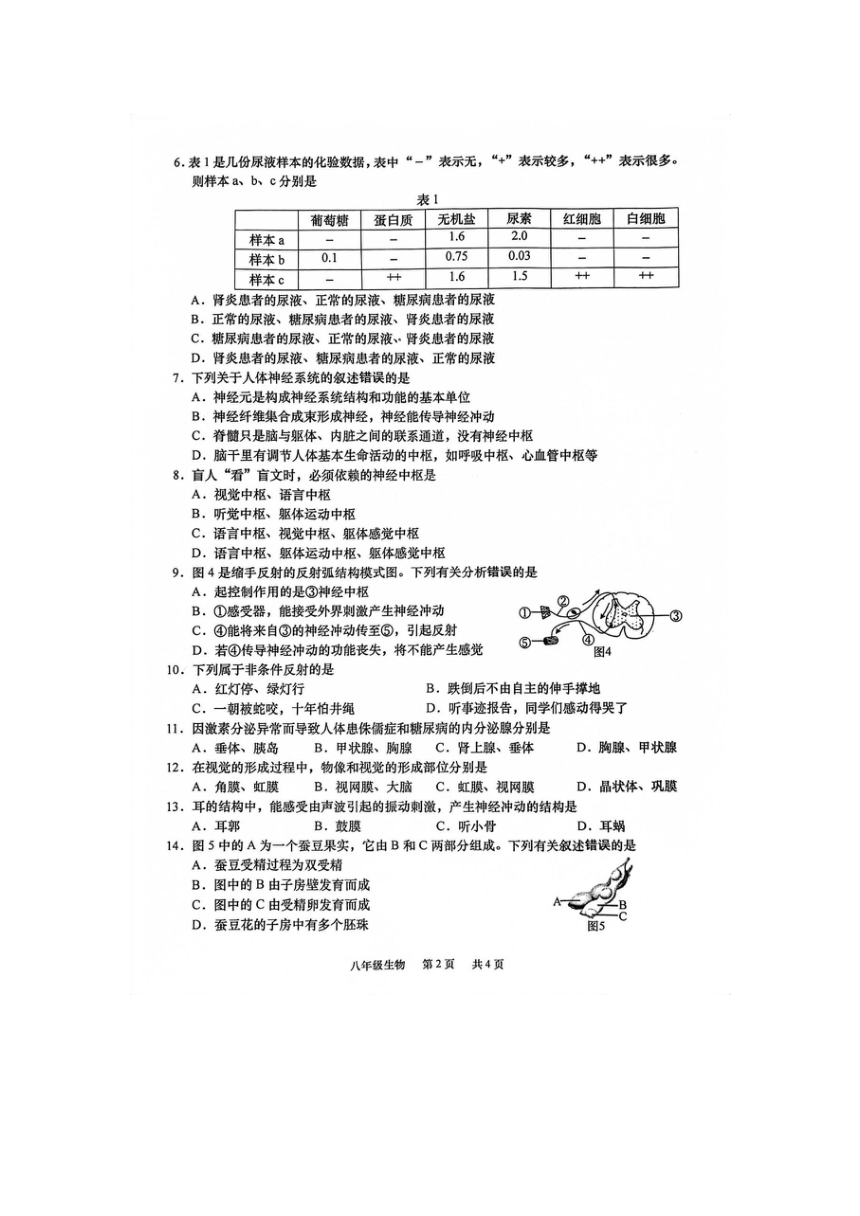 江苏省南通市如皋市2023-2024学年八年级上学期期中学业质量监测生物试卷（图片版 无答案）