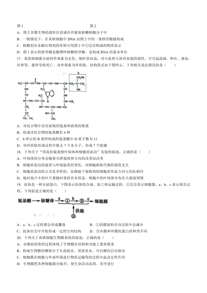 吉林省四平市2023-2024学年高一上学期期中教学质量检测生物学试题（含答案）