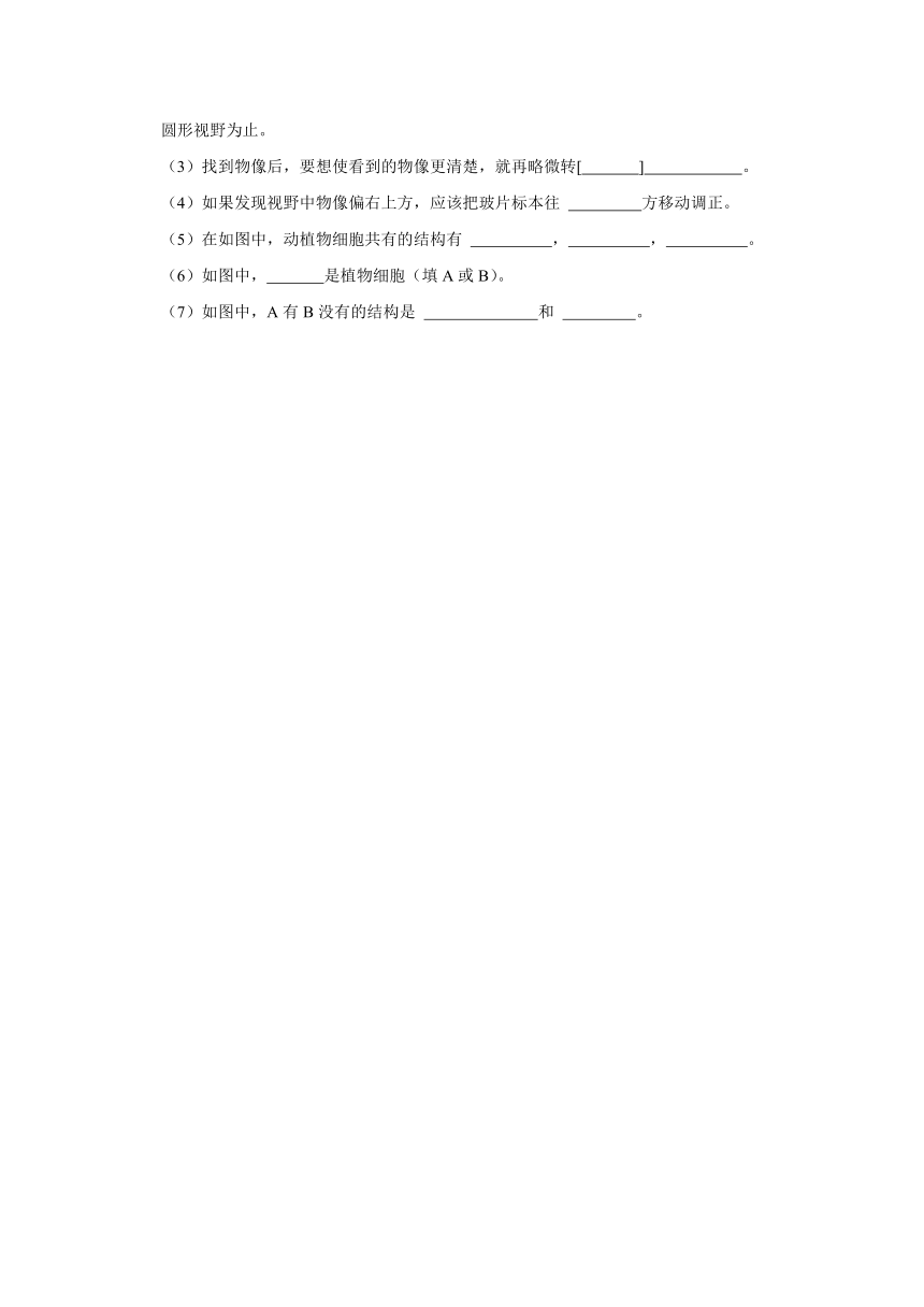 辽宁省营口市大石桥市第二初级中学2023-2024学年七年级上学期第一次月考生物试卷（含解析）